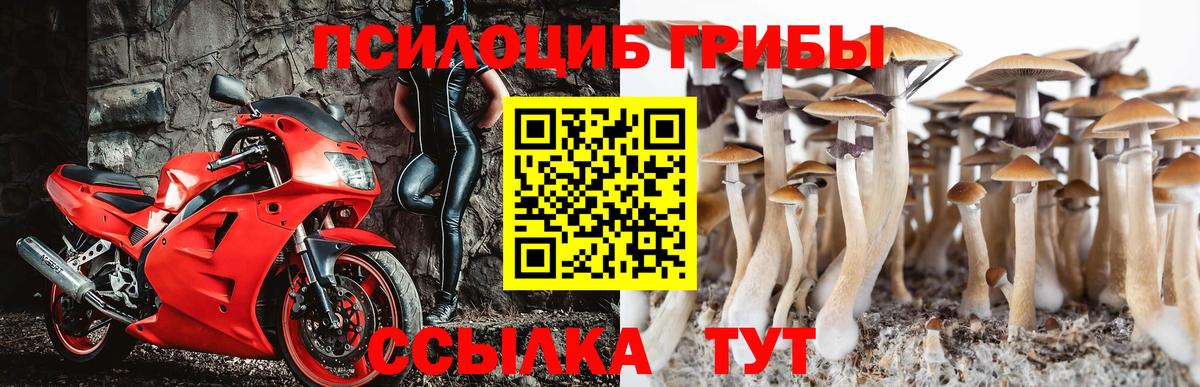 Псилоцибиновые грибы мухоморы Тула